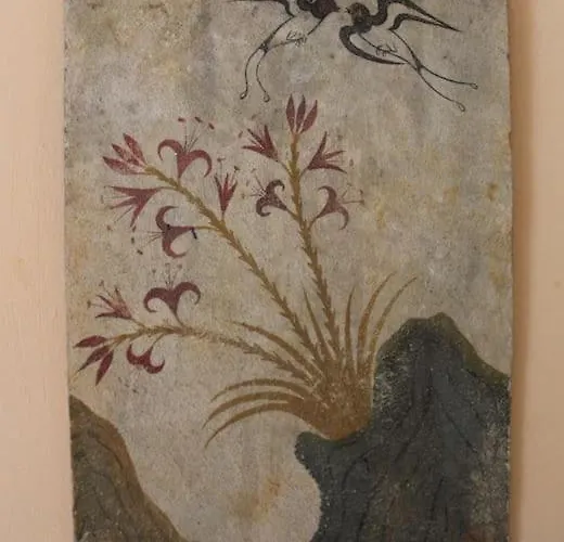 Διαμέρισμα Chrysanthemo House Αράχωβα